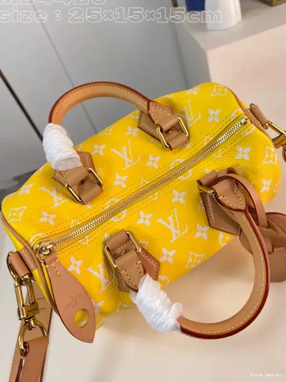 First bag ru SPEEDY Louis Vuitton 25 0405